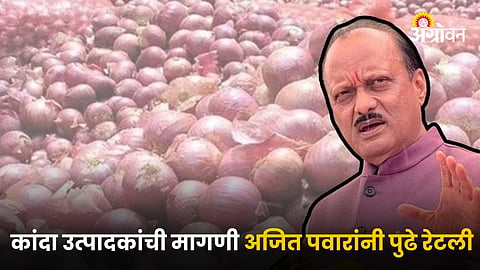 Onion