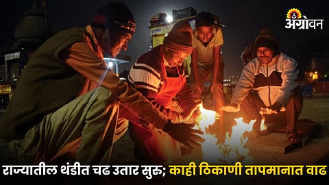 Maharashtra Hawaman Update : उत्तर भारतात थंडीची लाट कायम; राज्यातील थंडीत चढ उतार सुरु; काही ठिकाणी तापमानात वाढ