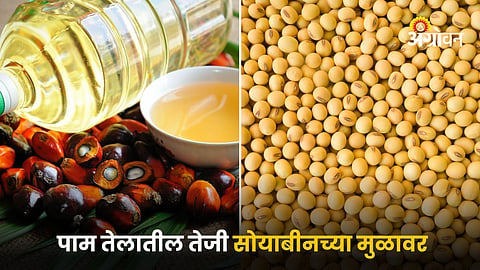 Palm Oil and Soybean