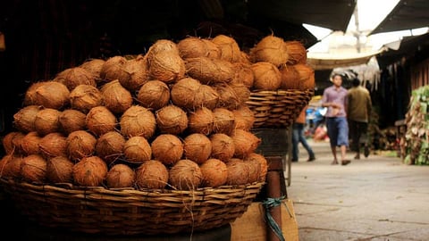 Coconut 