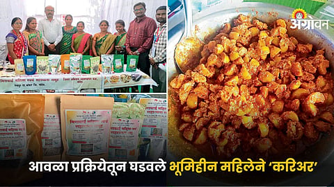 Amla Processing