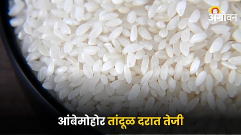 Ambemohar Rice