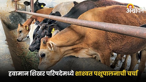 Livestock Farming