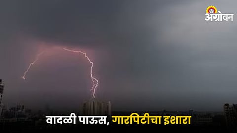 Weather