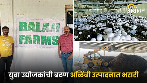 Mushroom Farming