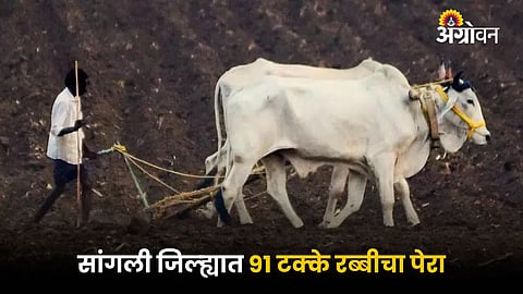 Rabi Sowing