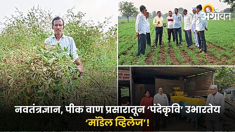 Rural Development