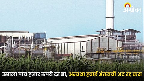 Sugarcane Factory