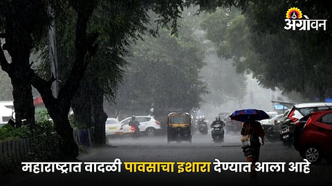 Rain Forecast