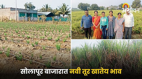 Agriculture Success
