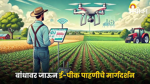 E-Crop Survey 