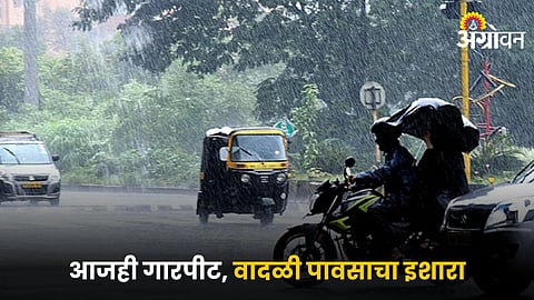 Rain Forecast