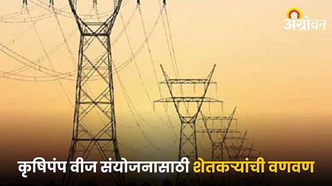 Electricity Connection