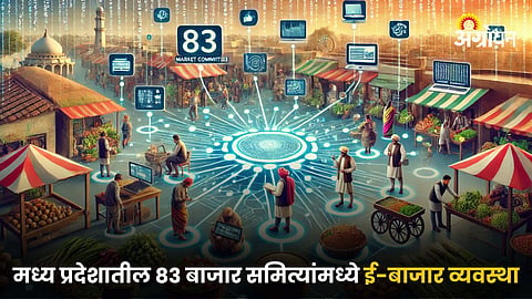E Market System