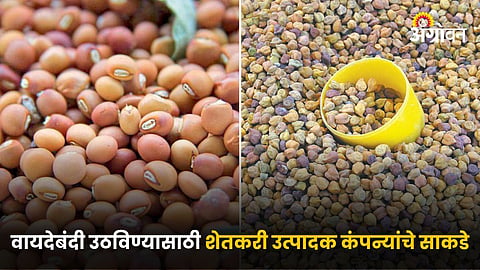 Agriculture Market