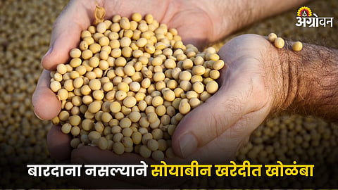 Soybean Procurement