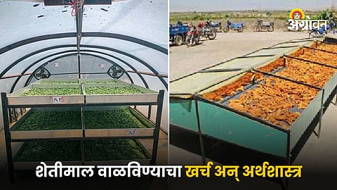Drying Agriculture