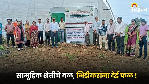 Agricultural Development