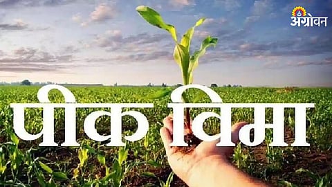 Crop Insurance
