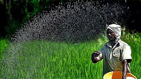 Fertilizer