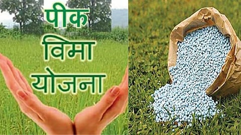 Crop Insurance