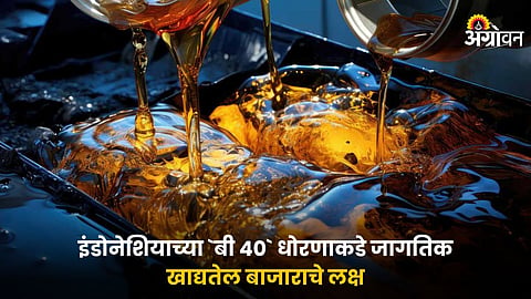 Oil Market
