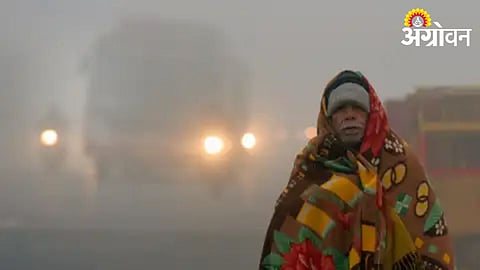 Cold Weather