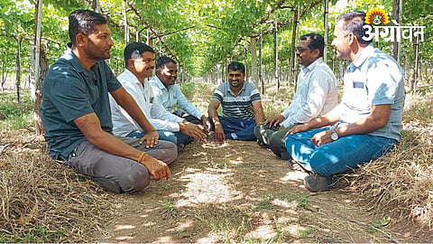 Agriculture Story