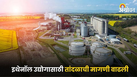 Ethanol Industry