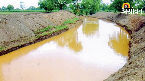 Agriculture Management 