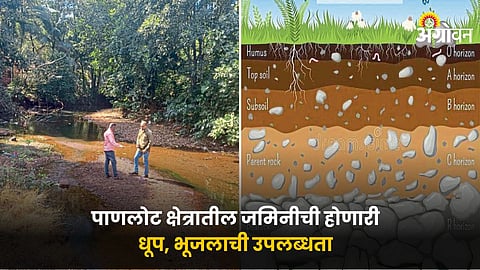 Watershed Management 