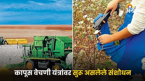 Cotton Picking Machinery 