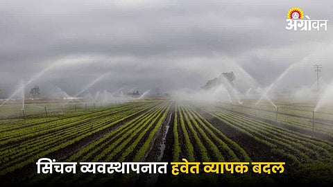Agriculture Irrigation