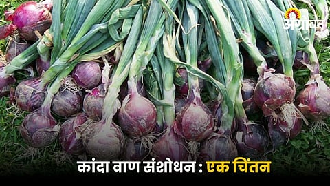 Onion
