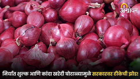 Onion