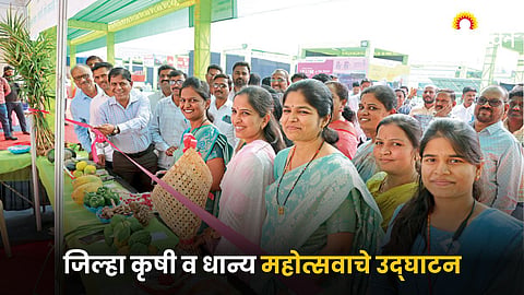 Agricultural Festival