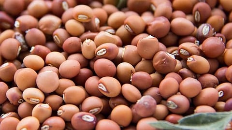 Tur Beens