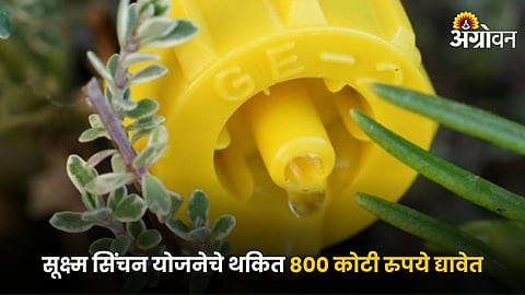 Micro Irrigation Scheme