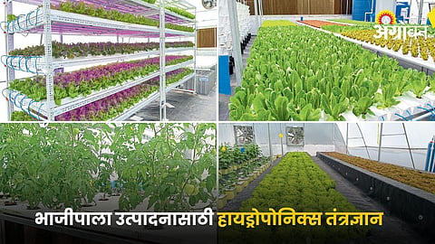 Smart farming innovations