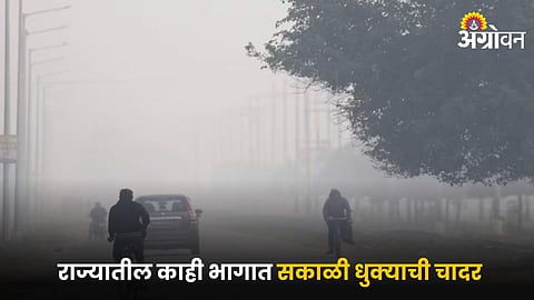 Weather