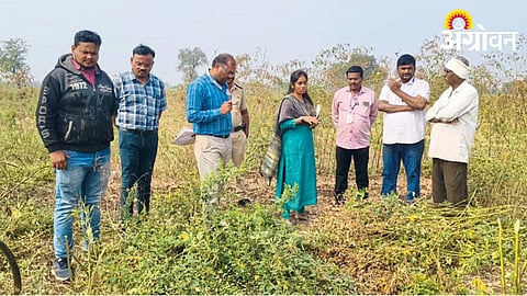 Crop Harvesting experiment 