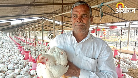 Poultry Farming 