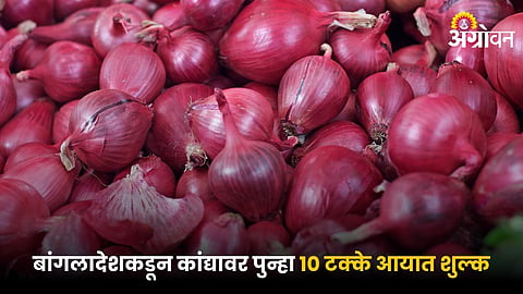 Onion Market