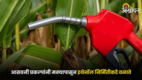 Ethanol Production