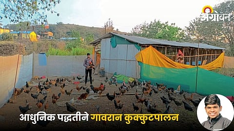 Poultry Farming