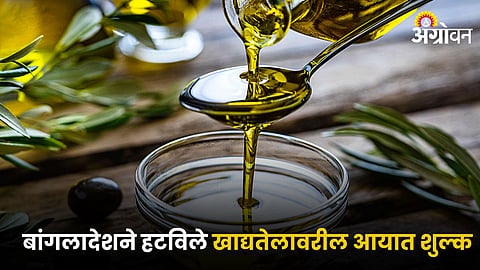 Edible Oil