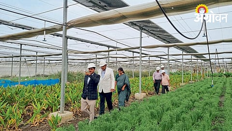 Agriculture Technology 
