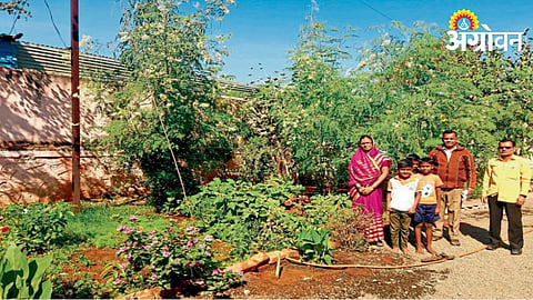 Vegetable Farming 