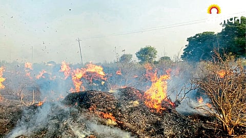 Fodder Burned