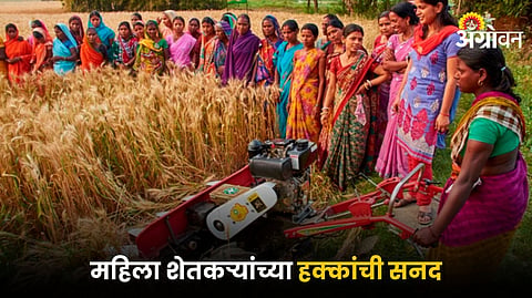 Women Empowerment